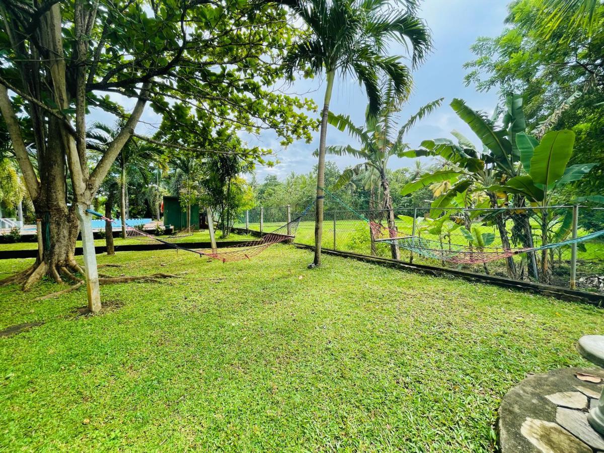 Tishan Holiday Resort โปลอนนารูวา ภายนอก รูปภาพ