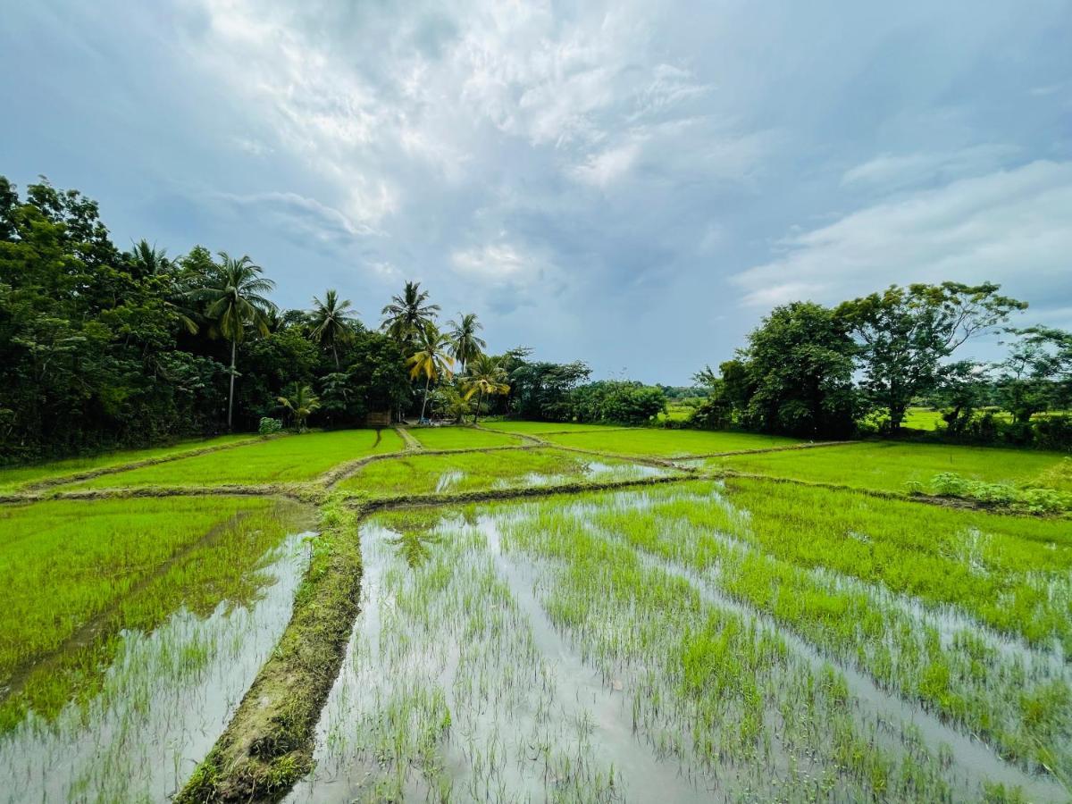 Tishan Holiday Resort โปลอนนารูวา ภายนอก รูปภาพ