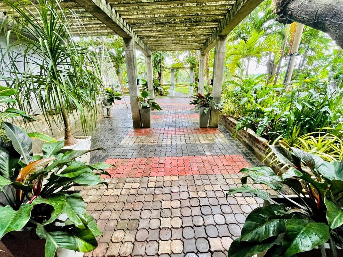 Tishan Holiday Resort โปลอนนารูวา ภายนอก รูปภาพ