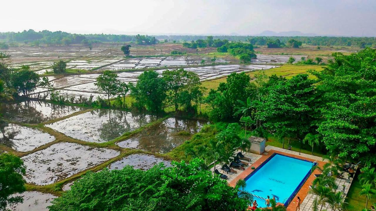 Tishan Holiday Resort โปลอนนารูวา ภายนอก รูปภาพ